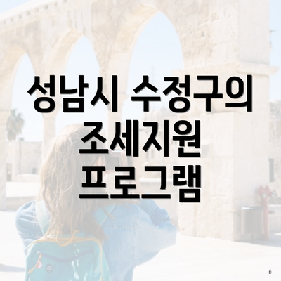 성남시 수정구의 조세지원 프로그램
