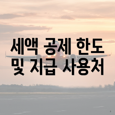 세액 공제 한도 및 지급 사용처
