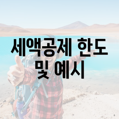 세액공제 한도 및 예시