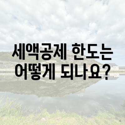 세액공제 한도는 어떻게 되나요?