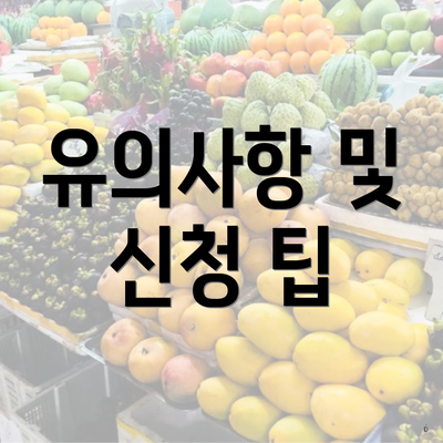 유의사항 및 신청 팁