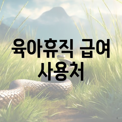 육아휴직 급여 사용처