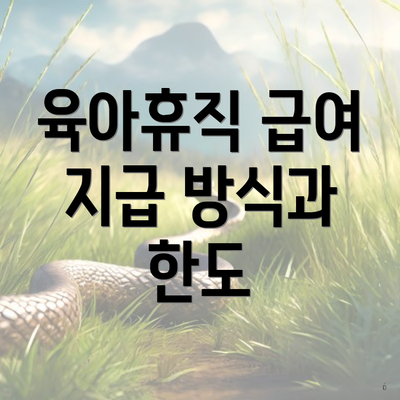 육아휴직 급여 지급 방식과 한도