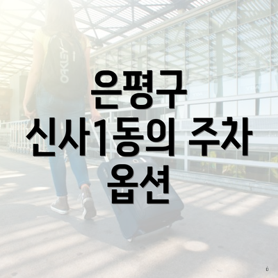 은평구 신사1동의 주차 옵션