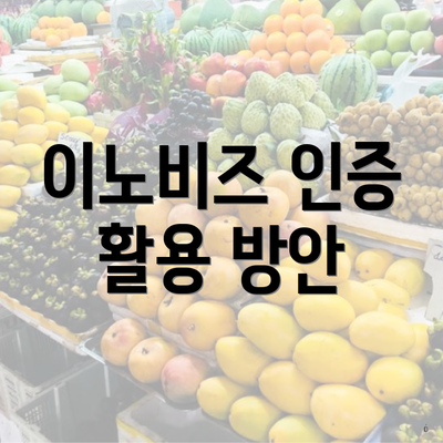 이노비즈 인증 활용 방안