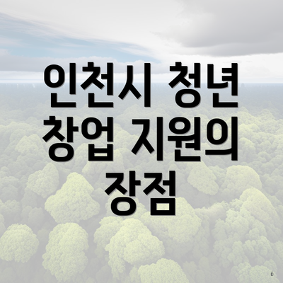 인천시 청년 창업 지원의 장점