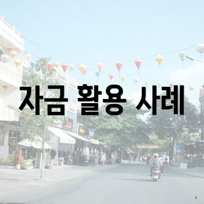 자금 활용 사례