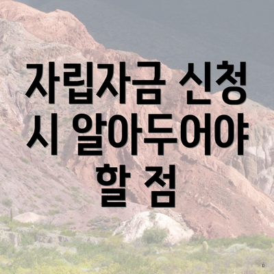 자립자금 신청 시 알아두어야 할 점