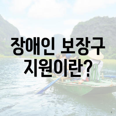 장애인 보장구 지원이란?