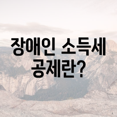 장애인 소득세 공제란?