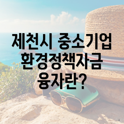 제천시 중소기업 환경정책자금 융자란?
