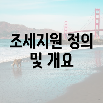 조세지원 정의 및 개요