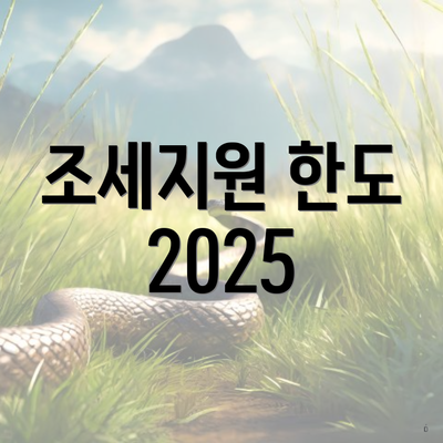 조세지원 한도 2025