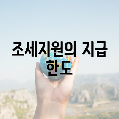 조세지원의 지급 한도