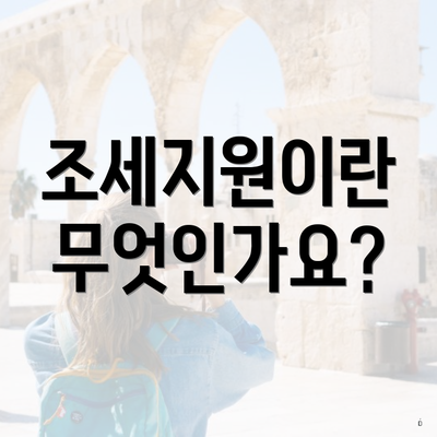 조세지원이란 무엇인가요?