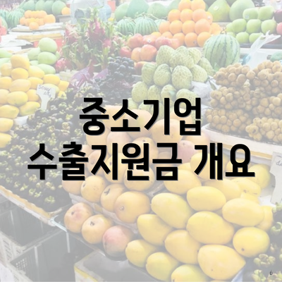중소기업 수출지원금 개요