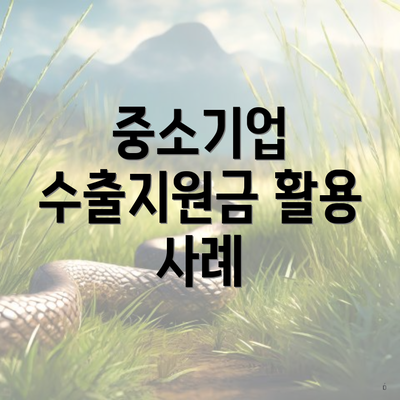 중소기업 수출지원금 활용 사례