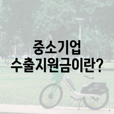 중소기업 수출지원금이란?