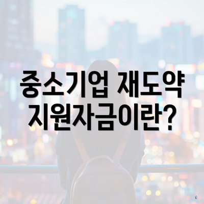 중소기업 재도약지원자금이란?