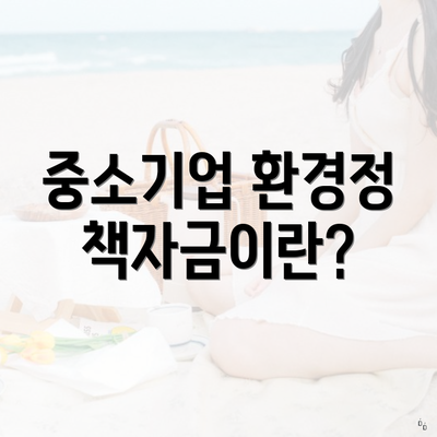 중소기업 환경정책자금이란?