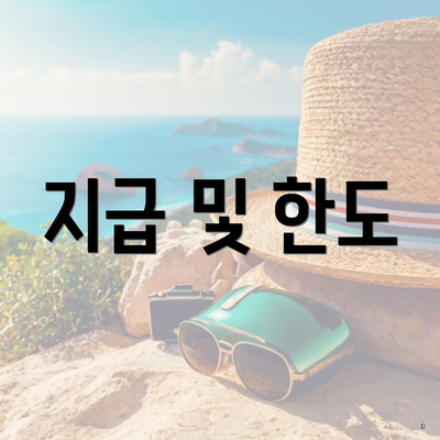 지급 및 한도