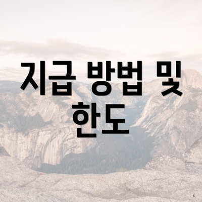지급 방법 및 한도