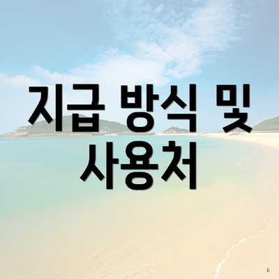 지급 방식 및 사용처