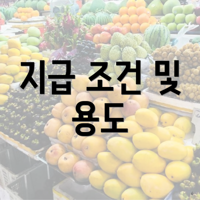 지급 조건 및 용도