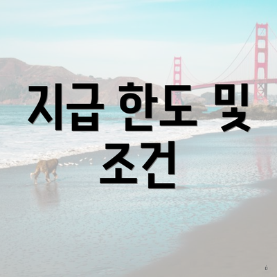 지급 한도 및 조건