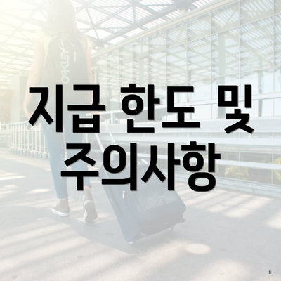 지급 한도 및 주의사항