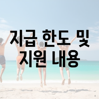 지급 한도 및 지원 내용