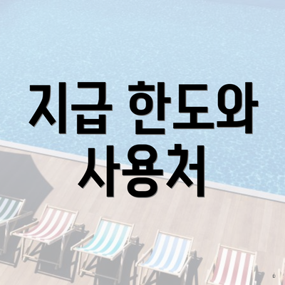 지급 한도와 사용처
