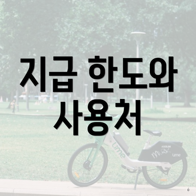 지급 한도와 사용처