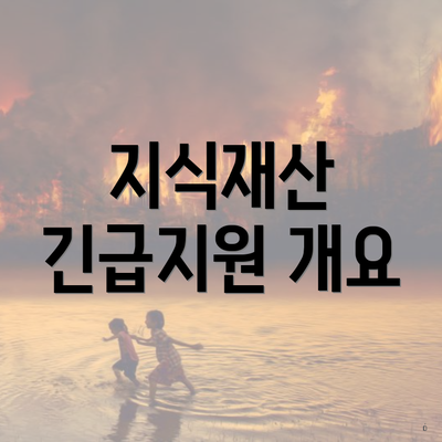 지식재산 긴급지원 개요