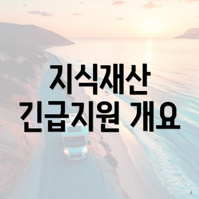 지식재산 긴급지원 개요