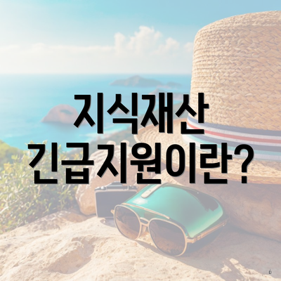 지식재산 긴급지원이란?