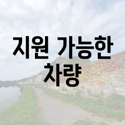지원 가능한 차량