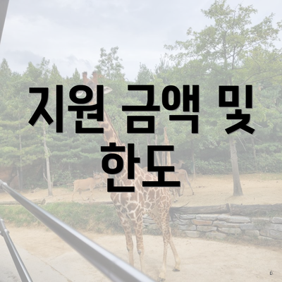 지원 금액 및 한도