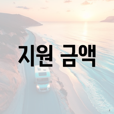 지원 금액