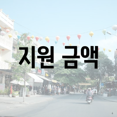지원 금액