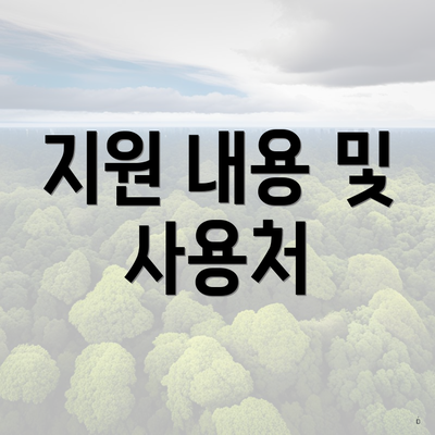 지원 내용 및 사용처