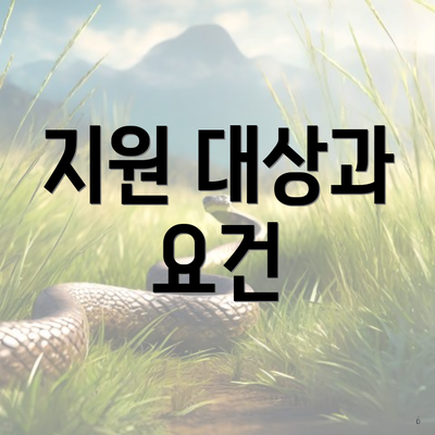지원 대상과 요건