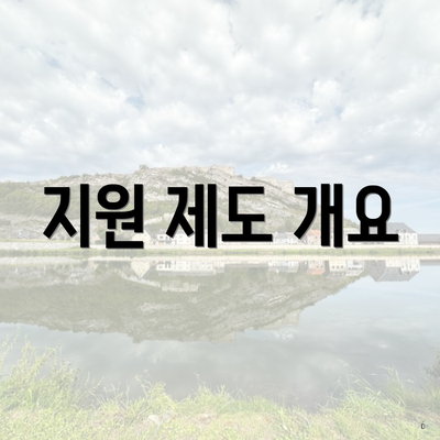 지원 제도 개요