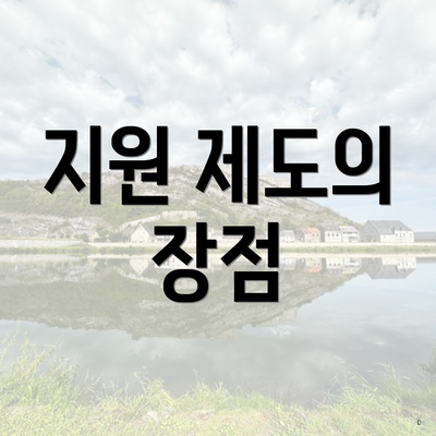 지원 제도의 장점
