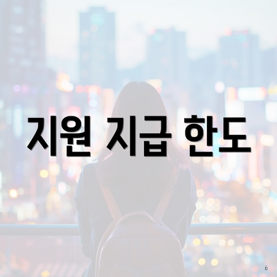 지원 지급 한도