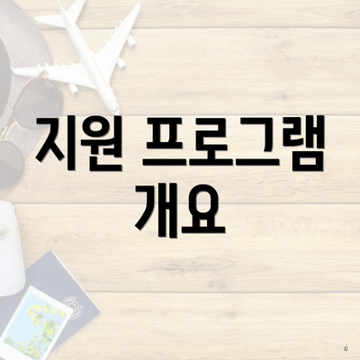 지원 프로그램 개요