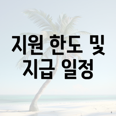 지원 한도 및 지급 일정
