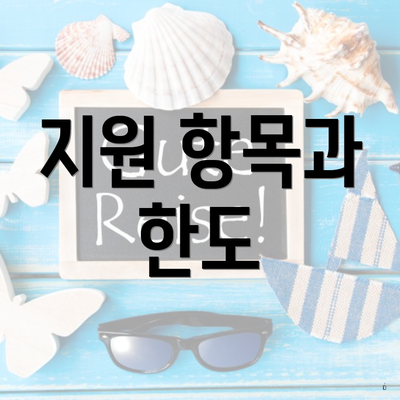 지원 항목과 한도