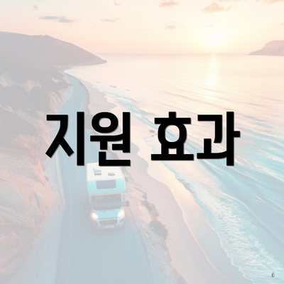 지원 효과