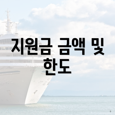 지원금 금액 및 한도